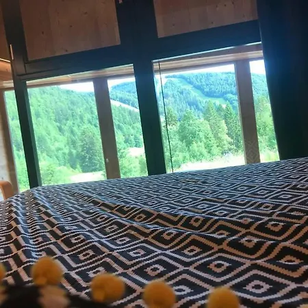 Bel Neuf Equipe Au Pied Des Pistes Du Honheck La Bresse