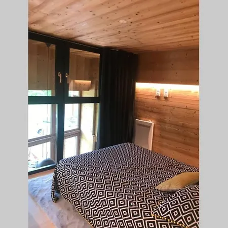 Bel Neuf Equipe Au Pied Des Pistes Du Honheck