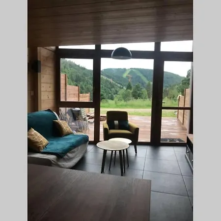 Bel Neuf Equipe Au Pied Des Pistes Du Honheck * La Bresse