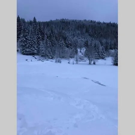Lägenhet Bel Neuf Equipe Au Pied Des Pistes Du Honheck *