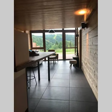 Bel Neuf Equipe Au Pied Des Pistes Du Honheck * La Bresse