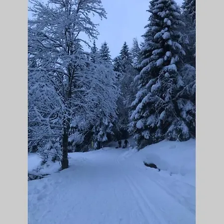 Lägenhet Bel Neuf Equipe Au Pied Des Pistes Du Honheck *