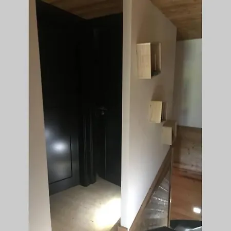 Bel Neuf Equipe Au Pied Des Pistes Du Honheck La Bresse