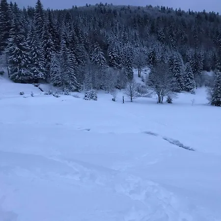 Lägenhet Bel Neuf Equipe Au Pied Des Pistes Du Honheck