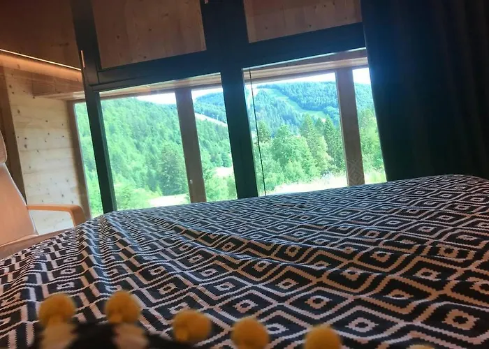 Bel Neuf Equipe Au Pied Des Pistes Du Honheck La Bresse