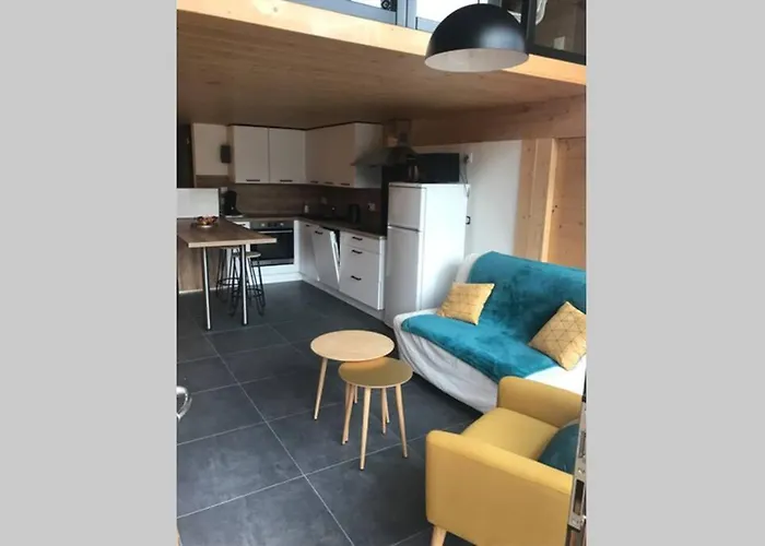 Bel Neuf Equipe Au Pied Des Pistes Du Honheck Apartmán La Bresse