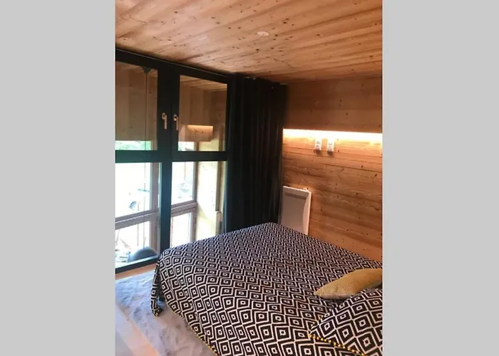 Bel Neuf Equipe Au Pied Des Pistes Du Honheck