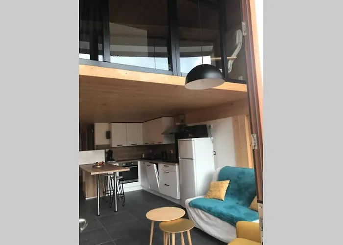 Bel Neuf Equipe Au Pied Des Pistes Du Honheck