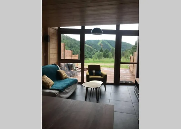 Bel Neuf Equipe Au Pied Des Pistes Du Honheck * La Bresse