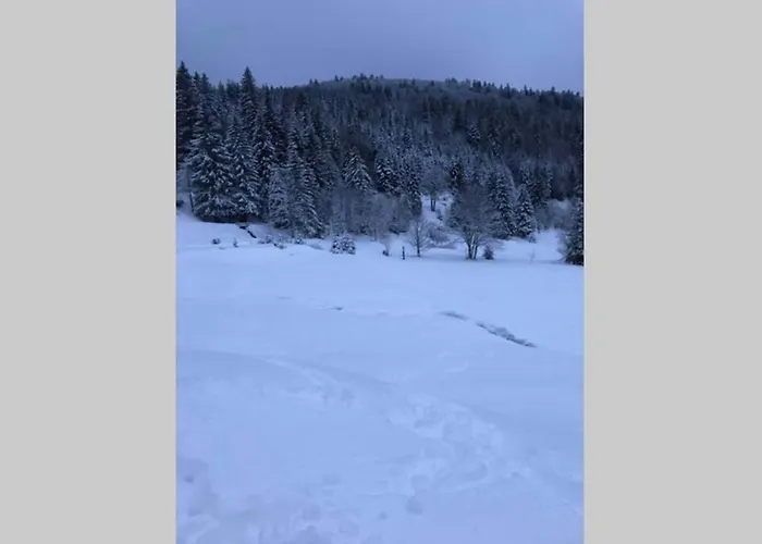 Apartmán Bel Neuf Equipe Au Pied Des Pistes Du Honheck *