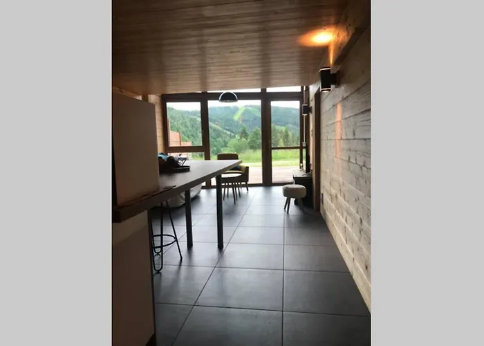 Bel Neuf Equipe Au Pied Des Pistes Du Honheck * La Bresse