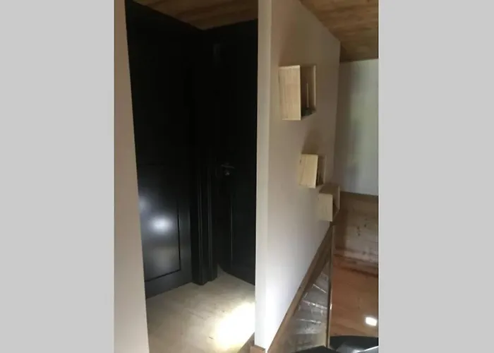 Bel Neuf Equipe Au Pied Des Pistes Du Honheck La Bresse