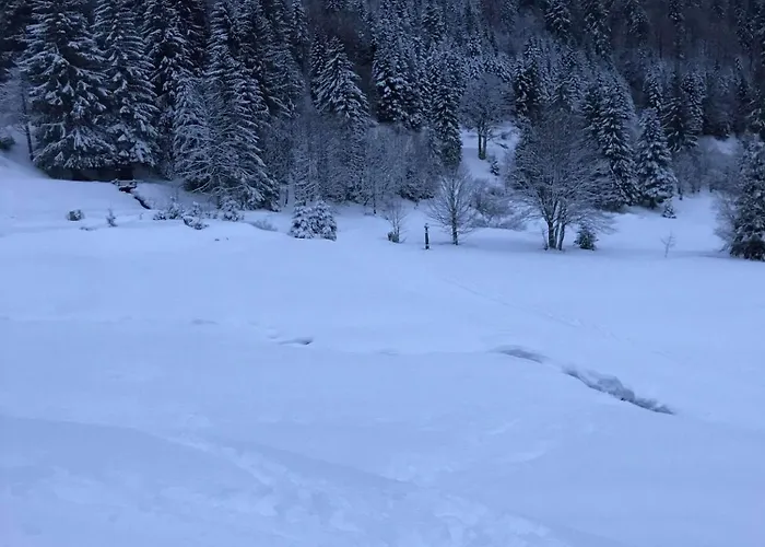 Apartmán Bel Neuf Equipe Au Pied Des Pistes Du Honheck