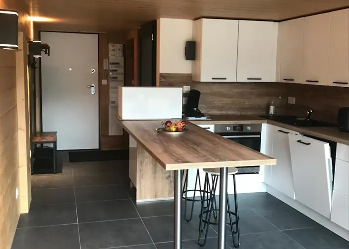 Bel Neuf Equipe Au Pied Des Pistes Du Honheck Apartmán La Bresse